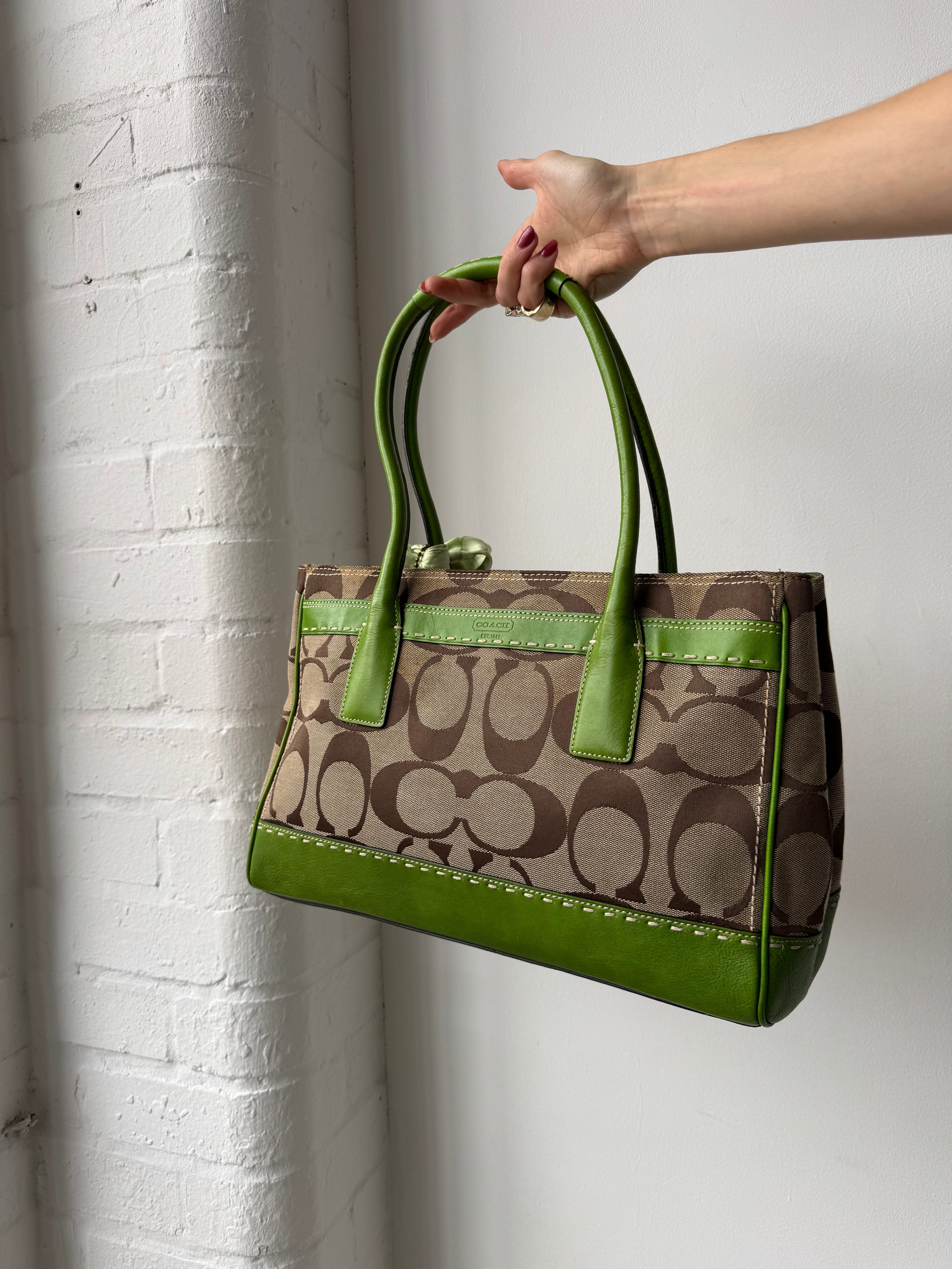 Vintage Y2K coach monogram green leather shoulder bag zebra print